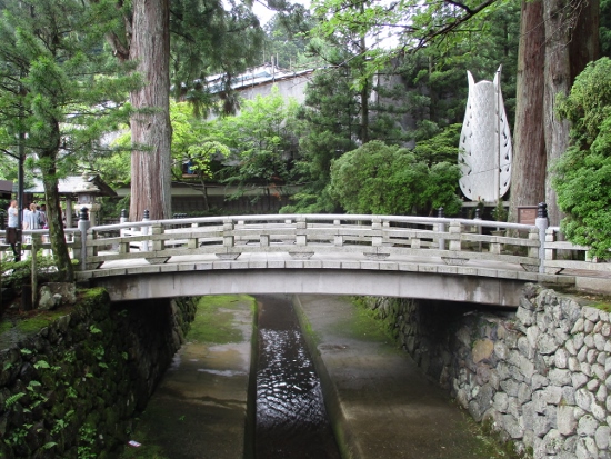 f:id:junny-policies:20190119214919j:plain