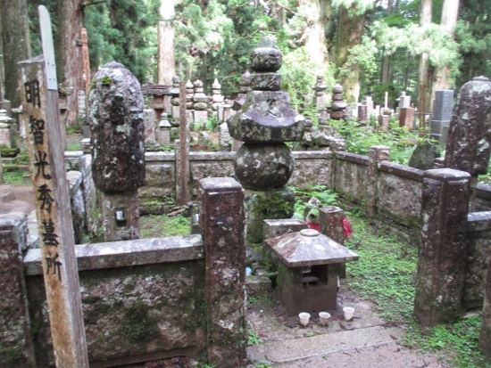 f:id:junny-policies:20190119214944j:plain