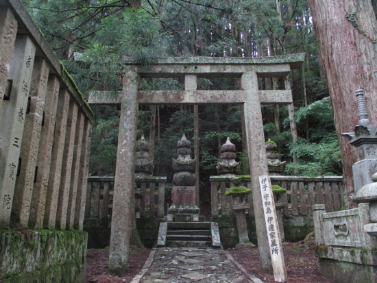 f:id:junny-policies:20190119214952j:plain