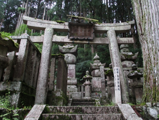 f:id:junny-policies:20190119215000j:plain