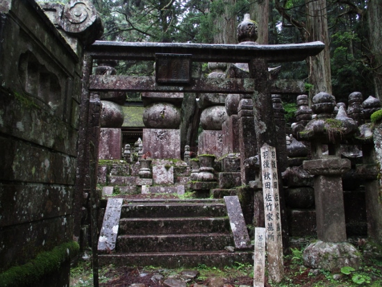 f:id:junny-policies:20190119215013j:plain