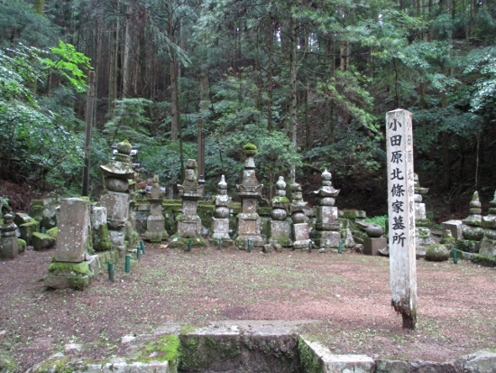 f:id:junny-policies:20190119215020j:plain