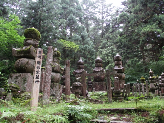 f:id:junny-policies:20190119215027j:plain