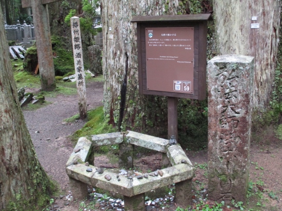 f:id:junny-policies:20190119215032j:plain