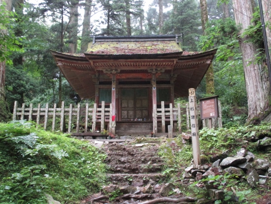 f:id:junny-policies:20190119215036j:plain