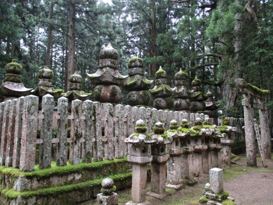 f:id:junny-policies:20190119215043j:plain