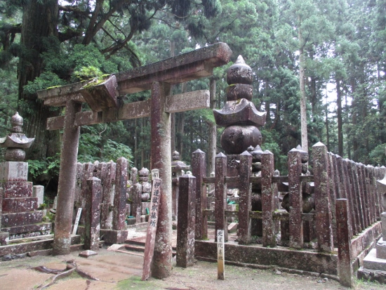 f:id:junny-policies:20190119215048j:plain