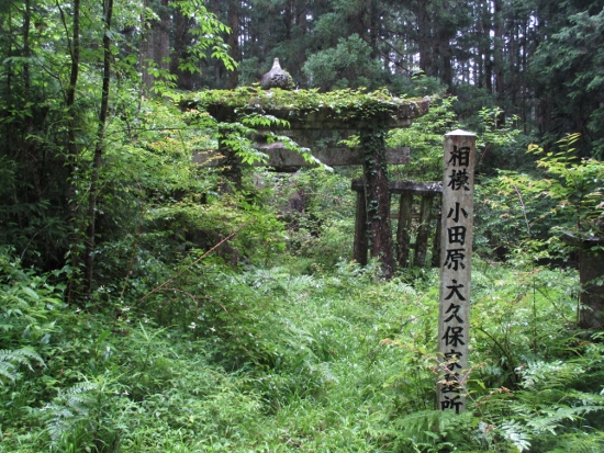 f:id:junny-policies:20190119215052j:plain