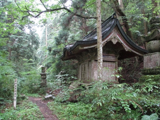 f:id:junny-policies:20190119215055j:plain