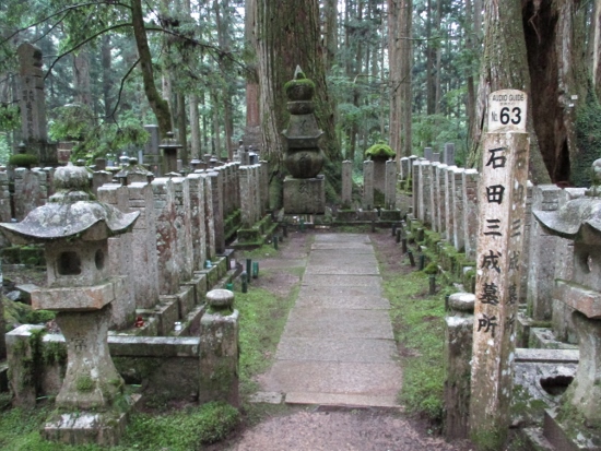 f:id:junny-policies:20190119215058j:plain