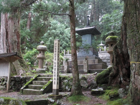 f:id:junny-policies:20190119215108j:plain