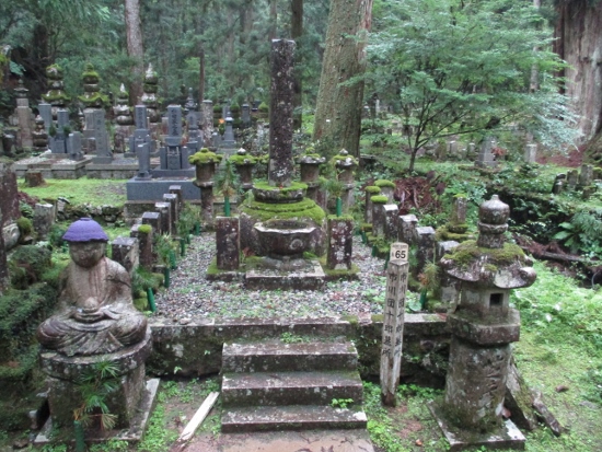 f:id:junny-policies:20190119215112j:plain