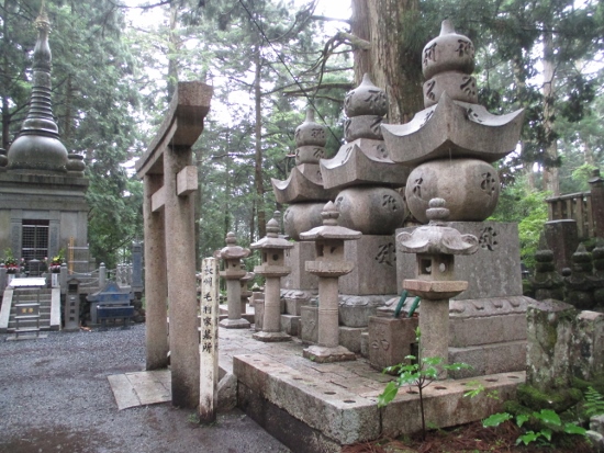 f:id:junny-policies:20190119215124j:plain