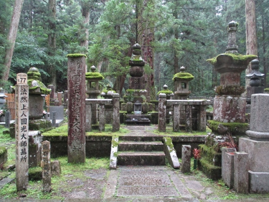 f:id:junny-policies:20190119215133j:plain