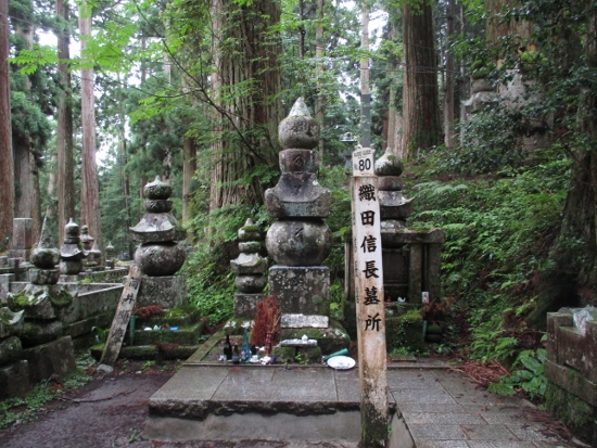 f:id:junny-policies:20190119215140j:plain