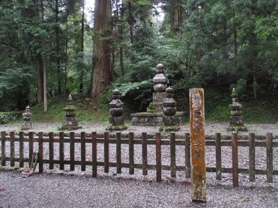 f:id:junny-policies:20190119215143j:plain