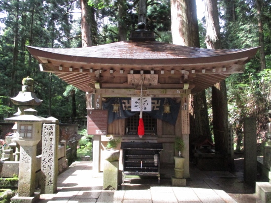 f:id:junny-policies:20190119215146j:plain