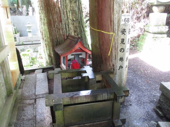 f:id:junny-policies:20190119215150j:plain