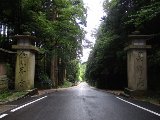 f:id:junny-policies:20190119232652j:plain