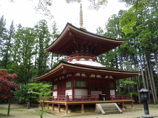 f:id:junny-policies:20190119233141j:plain