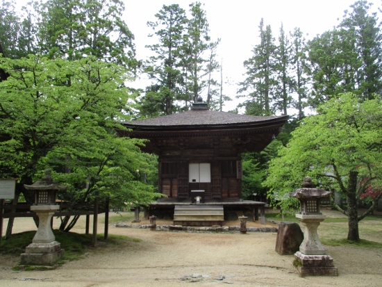 f:id:junny-policies:20190119233144j:plain