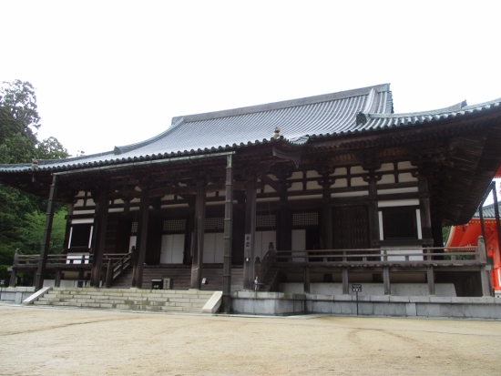 f:id:junny-policies:20190119233216j:plain