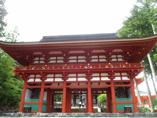 f:id:junny-policies:20190119233220j:plain