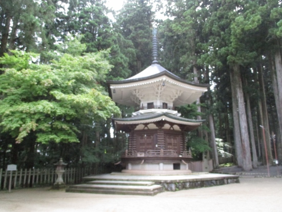 f:id:junny-policies:20190119233224j:plain