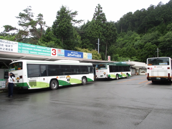 f:id:junny-policies:20190119233648j:plain