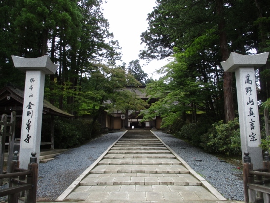 f:id:junny-policies:20190119235101j:plain