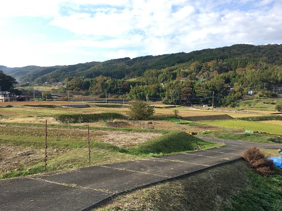 f:id:junny-policies:20200715235054j:plain