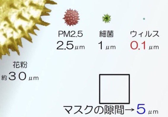 f:id:junny-policies:20210818001824j:plain