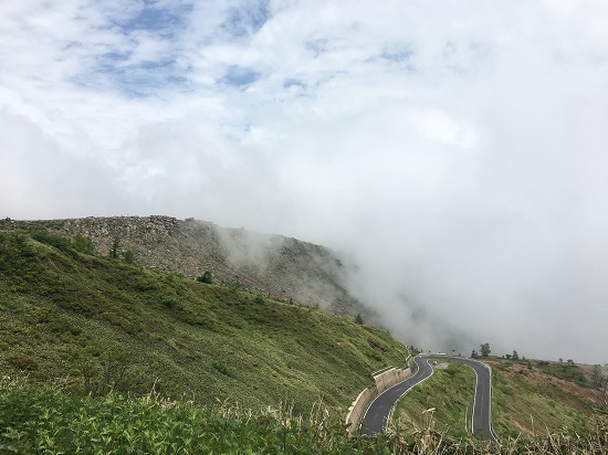 f:id:junny-policies:20210818002746j:plain