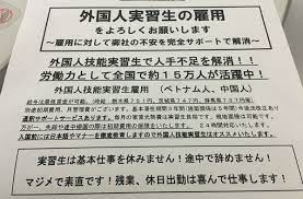 f:id:junny-policies:20220112234512j:plain