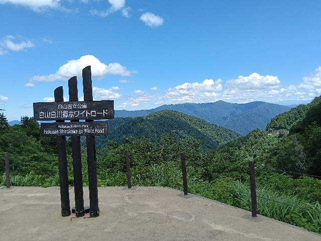 f:id:junokb:20250720152655j:image