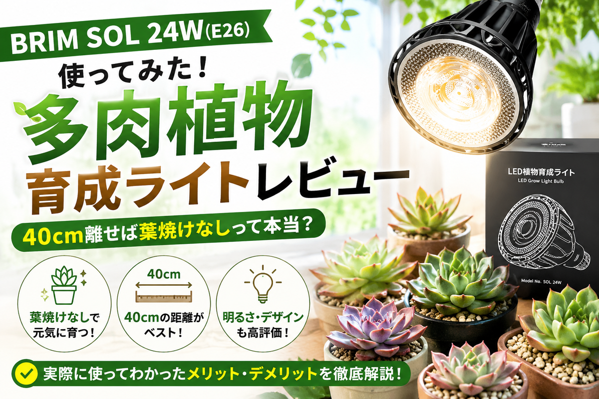 BRIM SOL 24W(E26)を使ってみた｜40cm離せば葉焼けなしの多肉植物育成