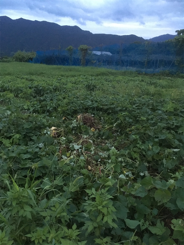 f:id:junpeiniida:20190827201748j:image