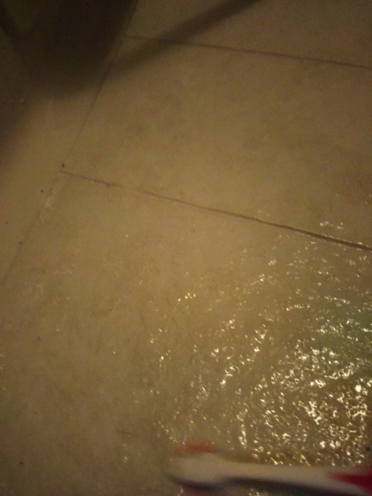 f:id:junpekun:20180726202251j:plain