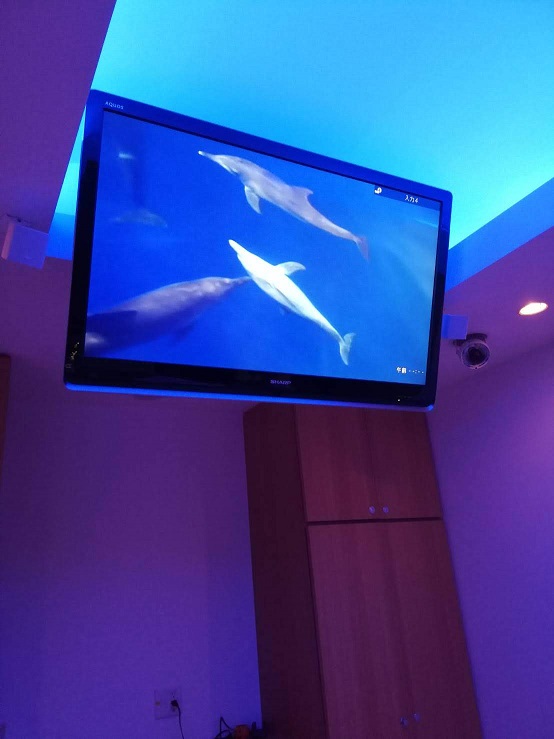 f:id:junpekun:20181018202744j:plain f:id:junpekun:20181018202744j:plain