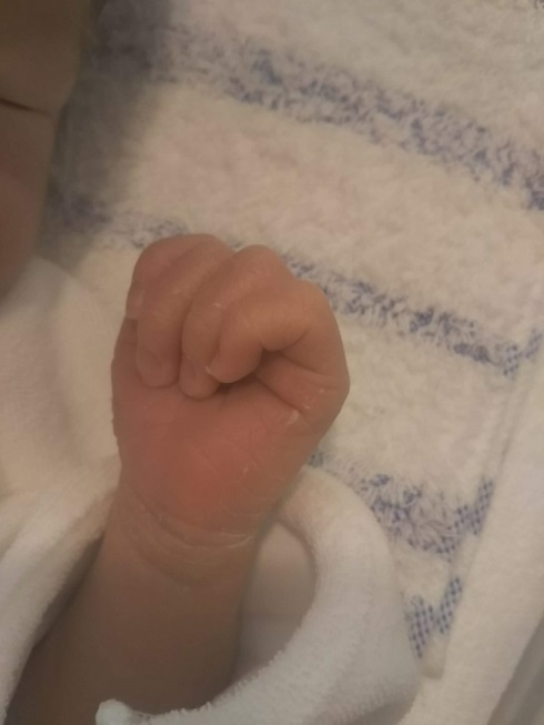 f:id:junpekun:20181024224352j:plain