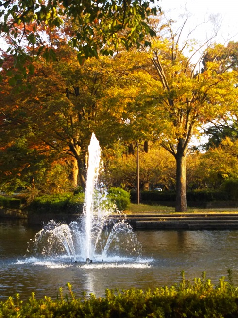 f:id:junpekun:20181108212611j:plain