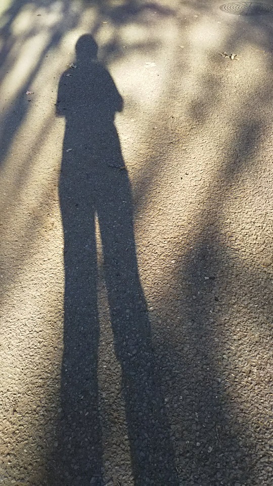 f:id:junpekun:20181108213243j:plain