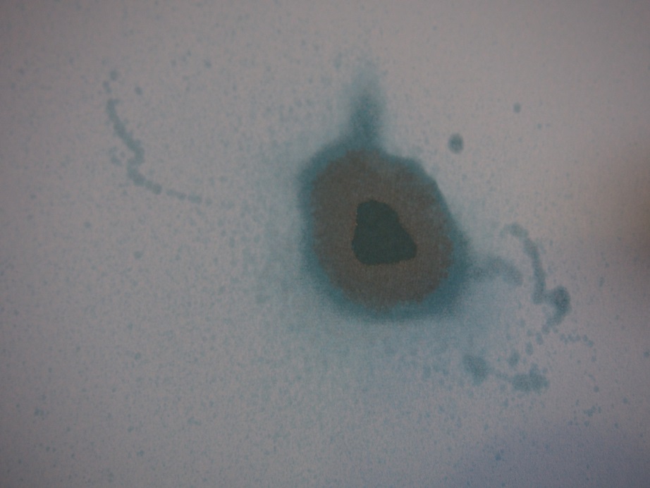 f:id:junpekun:20181129160457j:plain f:id:junpekun:20181129160457j:plain