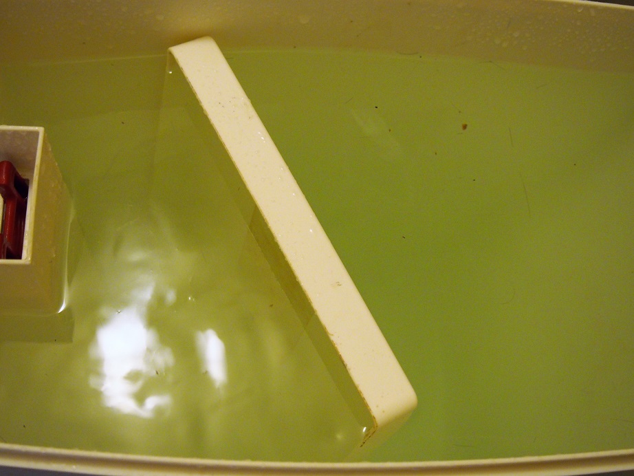 f:id:junpekun:20190107104956j:plain