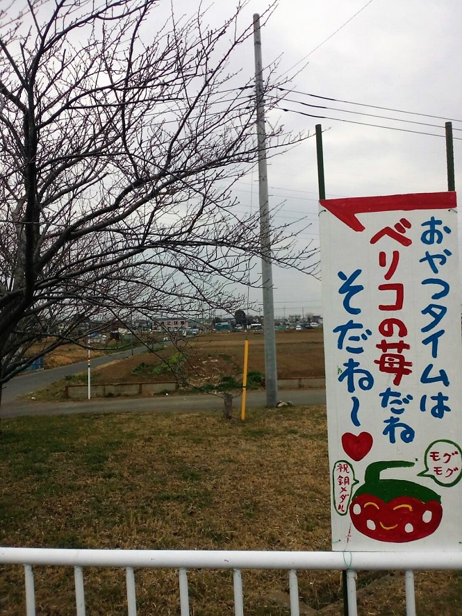 f:id:junpekun:20190228080926j:plain