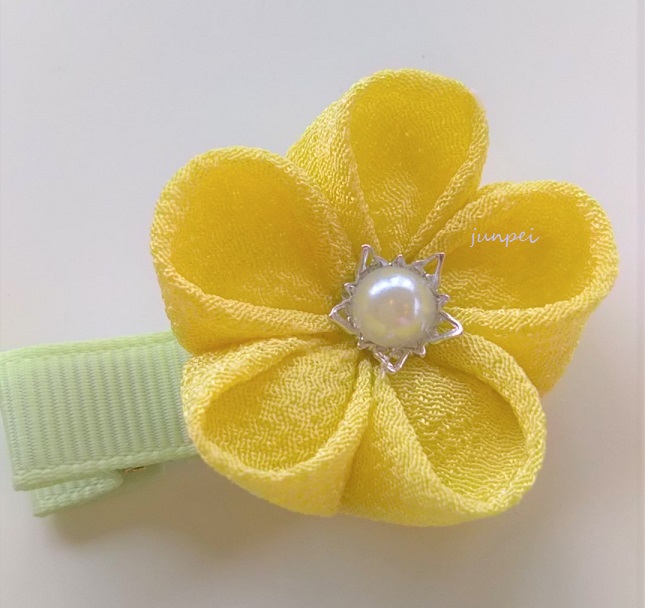 f:id:junpekun:20190416201538j:plain