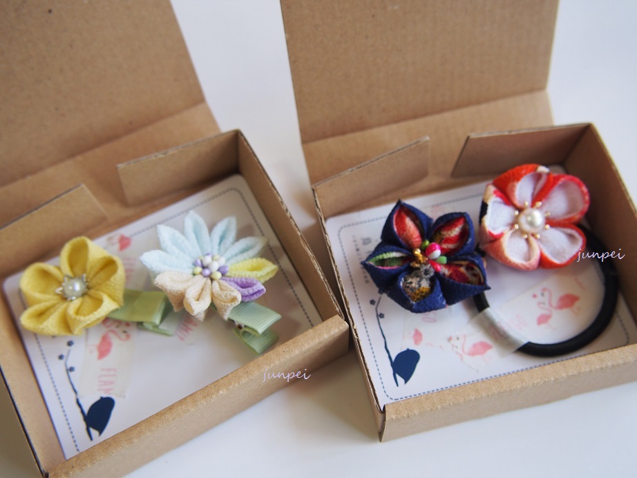 f:id:junpekun:20190416202159j:plain