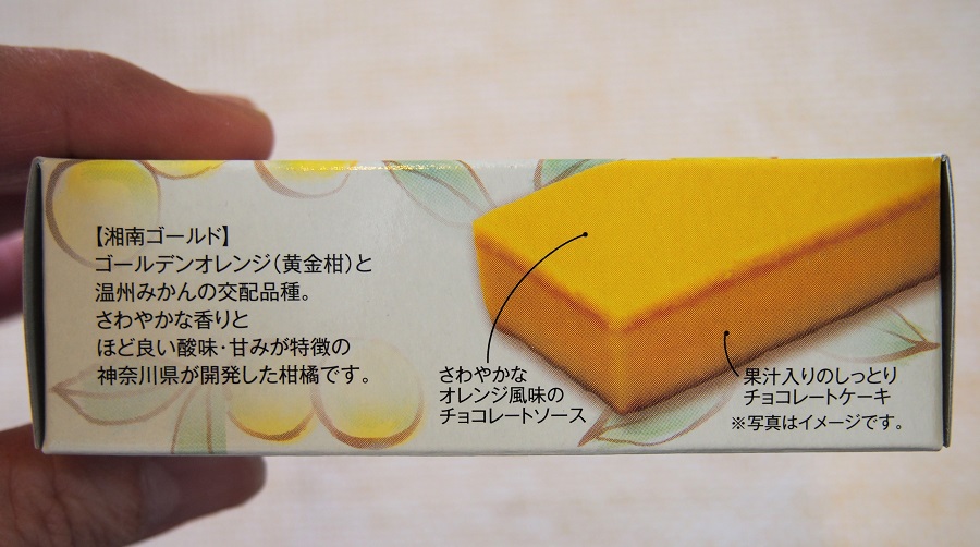 f:id:junpekun:20190421095817j:plain