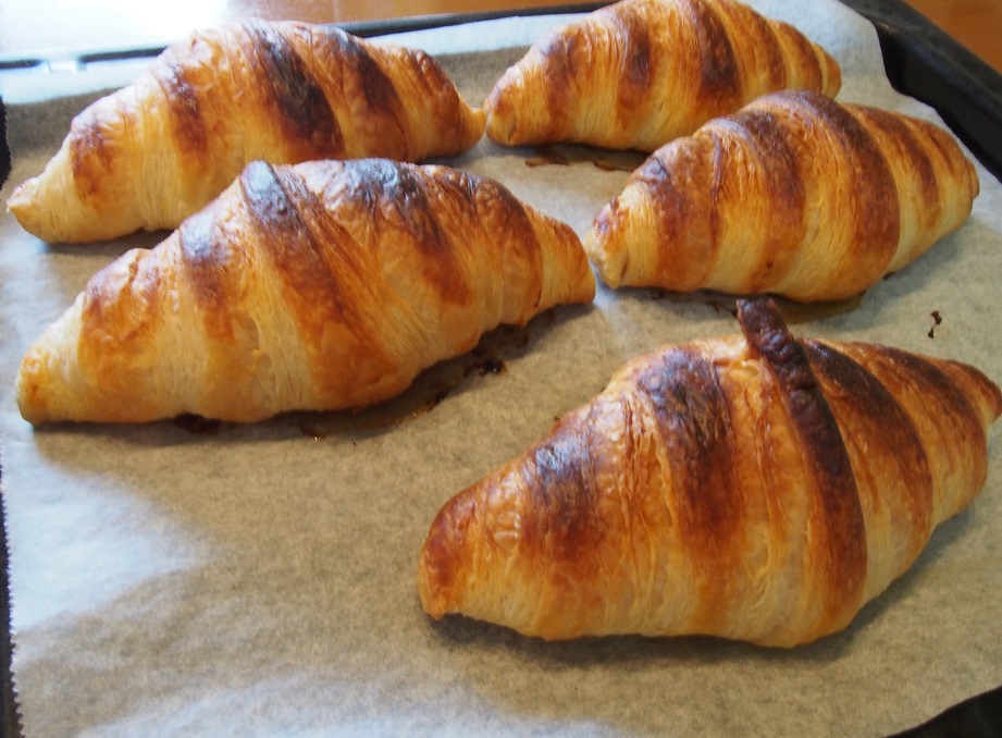 f:id:junpekun:20190917214445j:plain