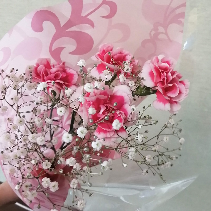 f:id:junpekun:20200509212118j:plain